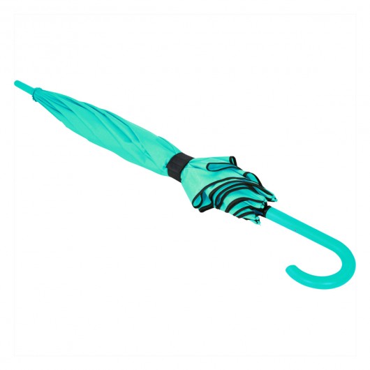 Colourised Fashion Umbrellas Mint Closed